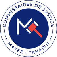logo mayer