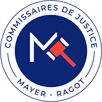 logo mayer